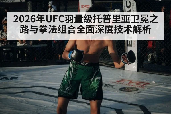 UFC octagon fight